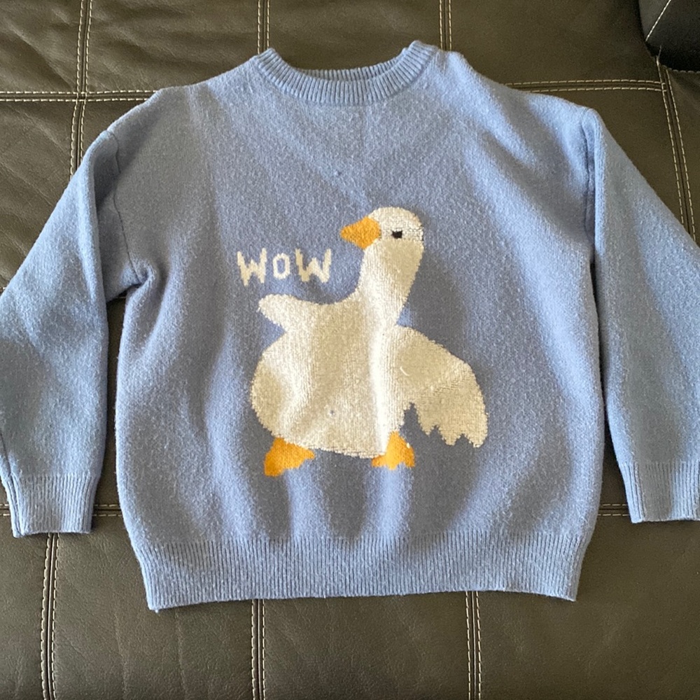 Blue goose sweater
